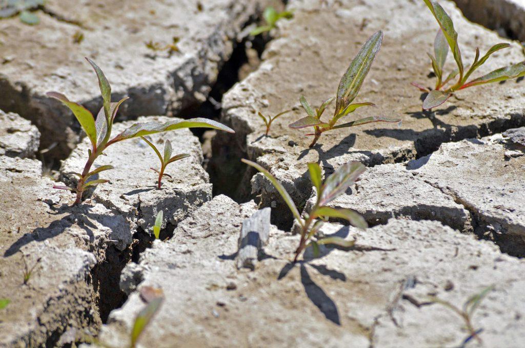 glissement de terrain