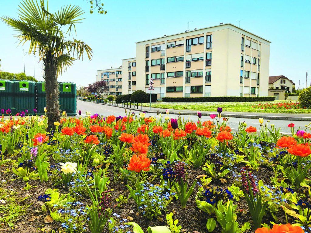 habitat