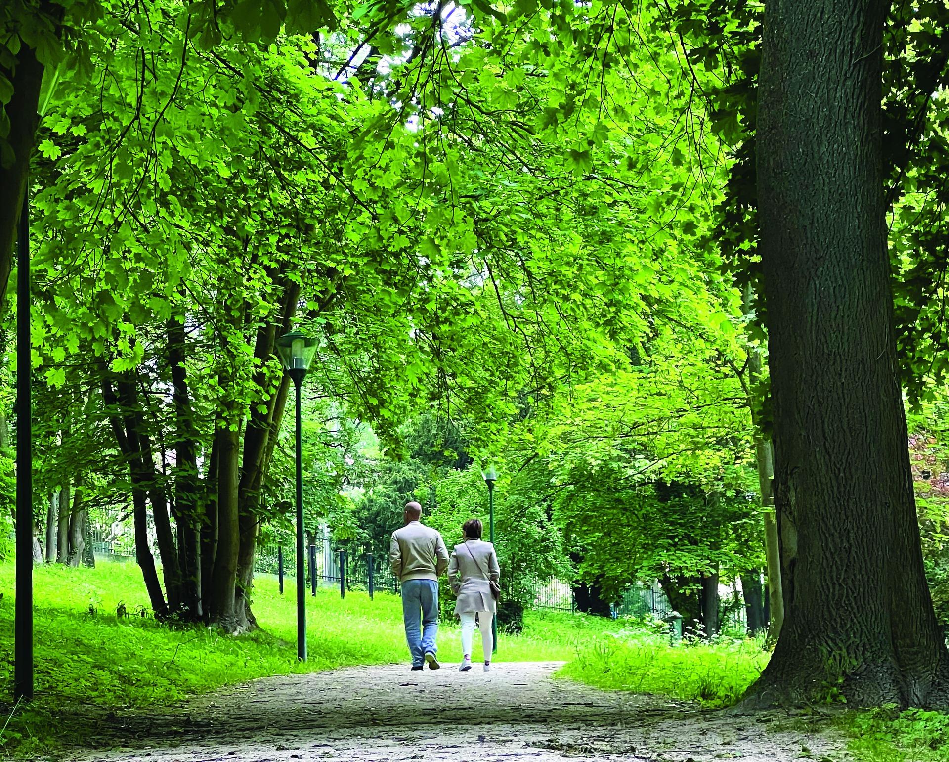 les arbres en ville