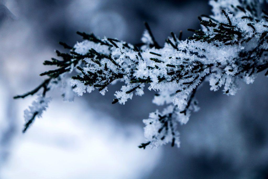 risque grand froid