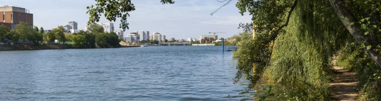 20230911 berges de seine a choisy sl2