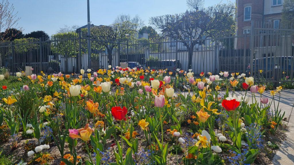 fleurs du parc de la gare