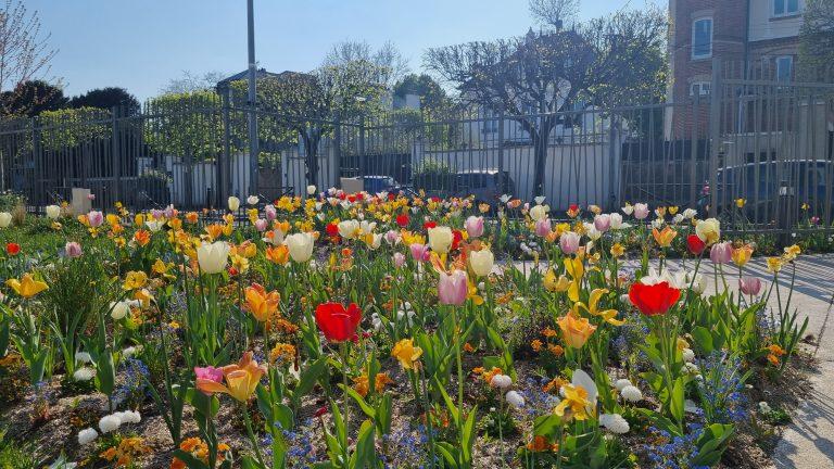 fleurs du parc de la gare