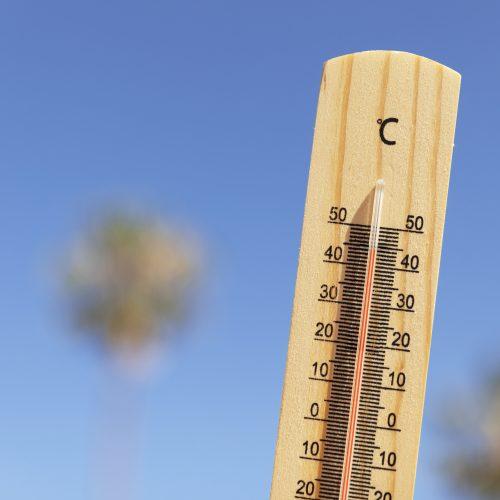 image d'un thermomètre