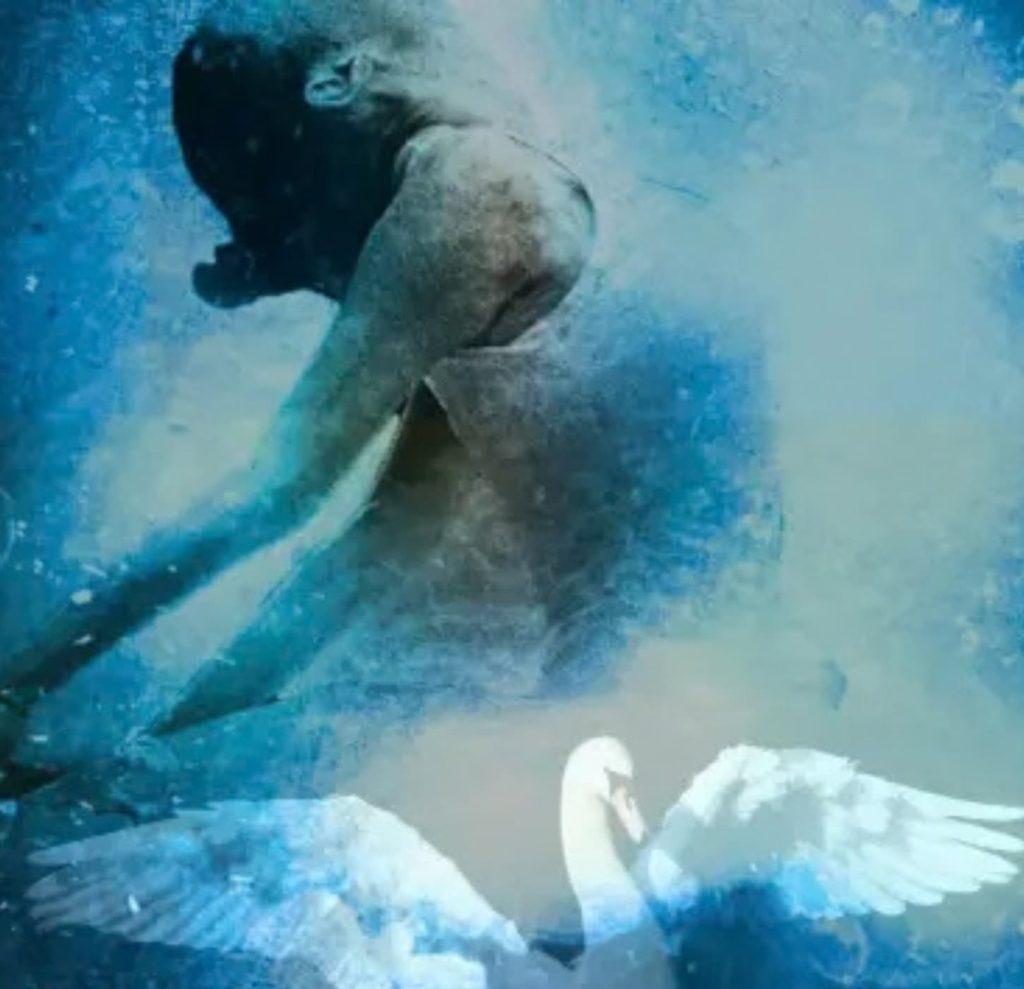 Le lac des cygnes